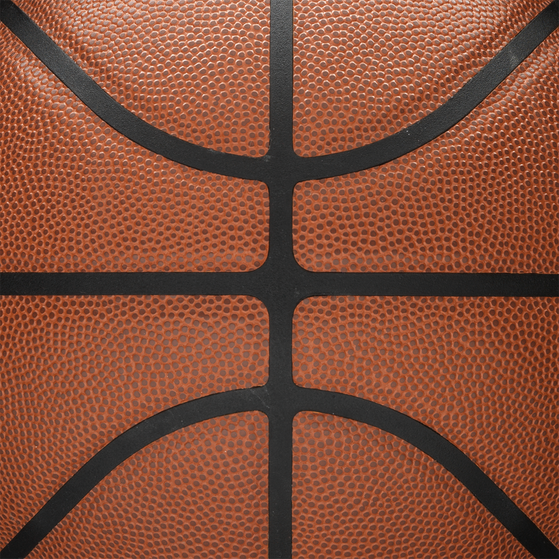 Balon de Basketball NBA Forge Pro #6