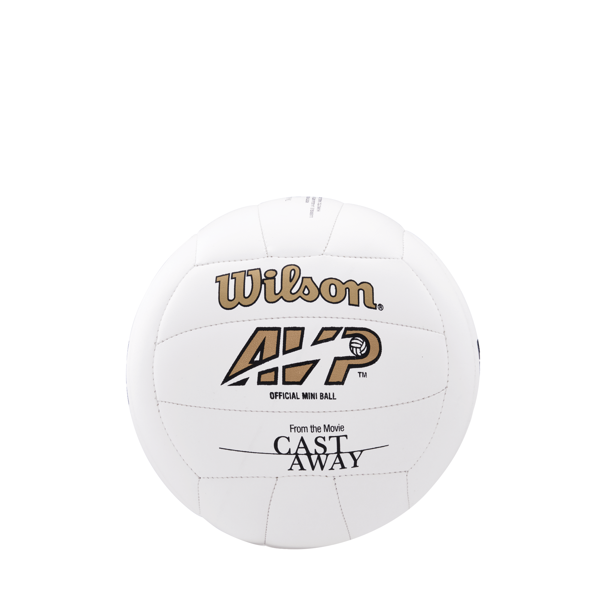 Balón de Volleyball Castaway Mini